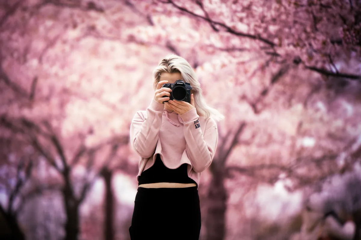 A photographer framed by pink cherry blossoms in Hamilton, Ontario