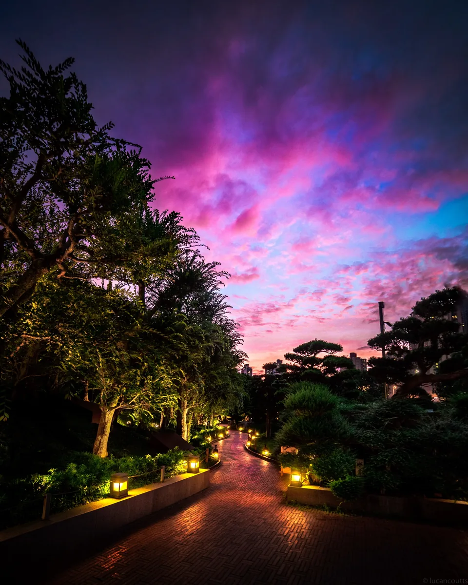 A garden path in Hong Kong lit by lanterns under a vivid pink and purple sunset
