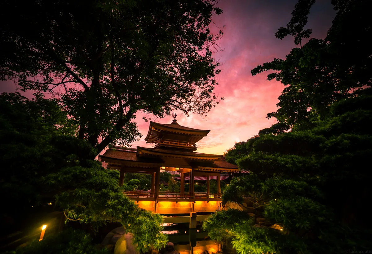 A golden pagoda among trees in a Hong Kong garden under a pink sunset sky